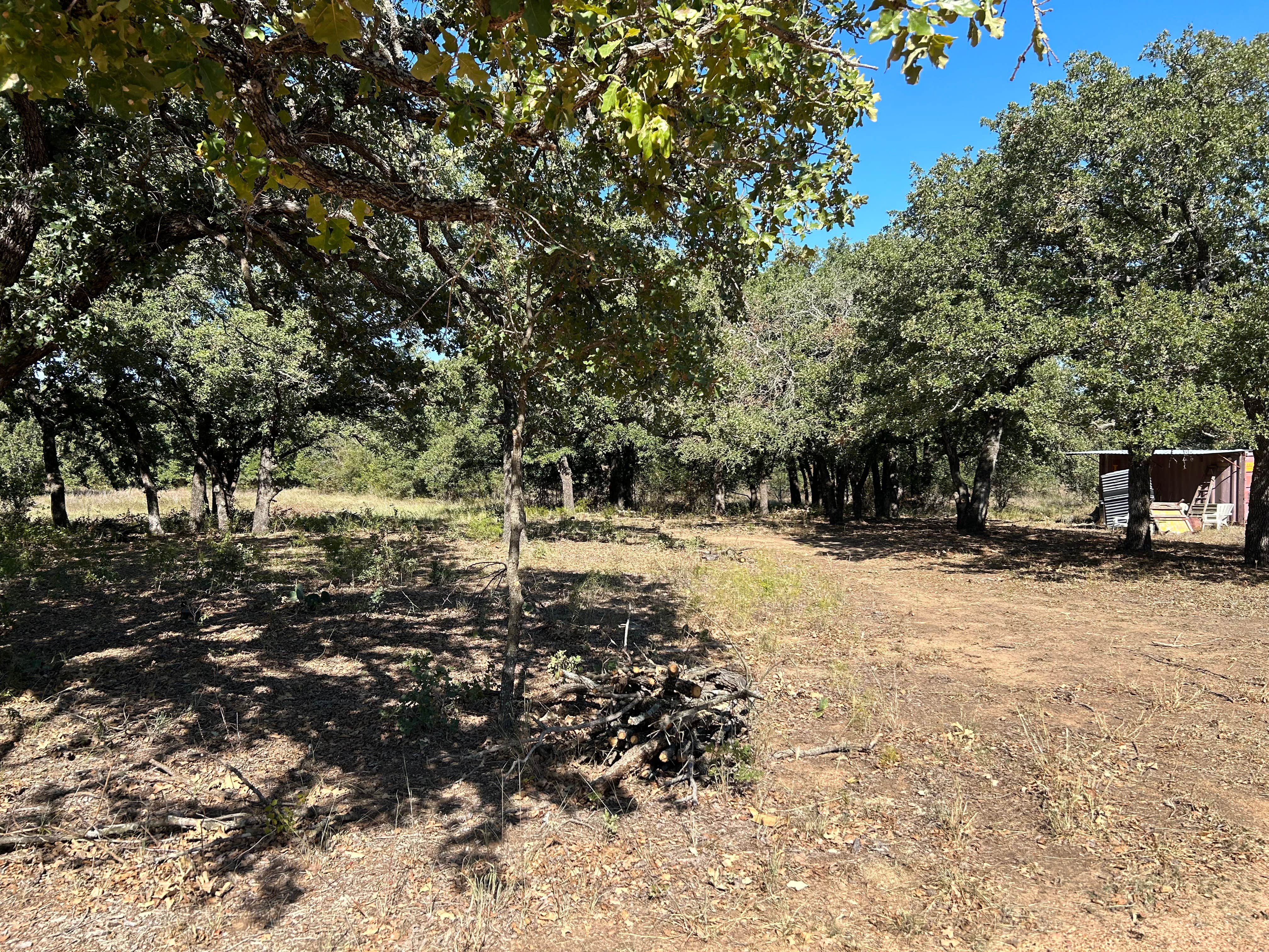 Camper-submitted photo at The River Bottom near Dublin, TX
