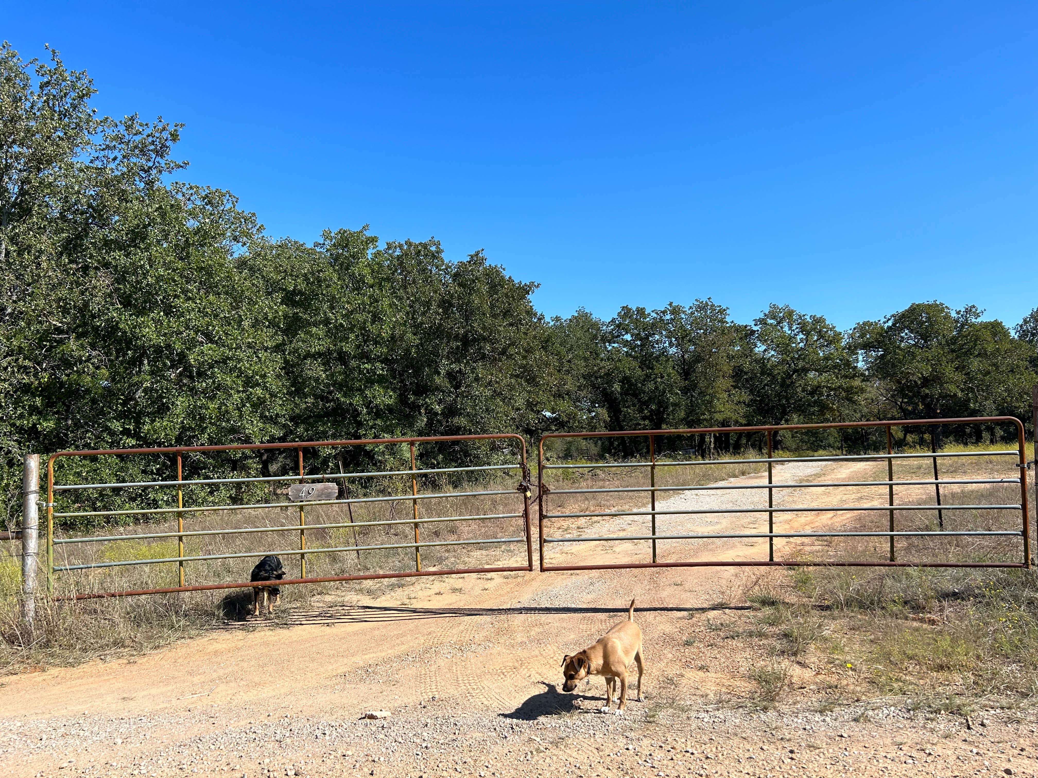 Camper-submitted photo at The River Bottom near Dublin, TX