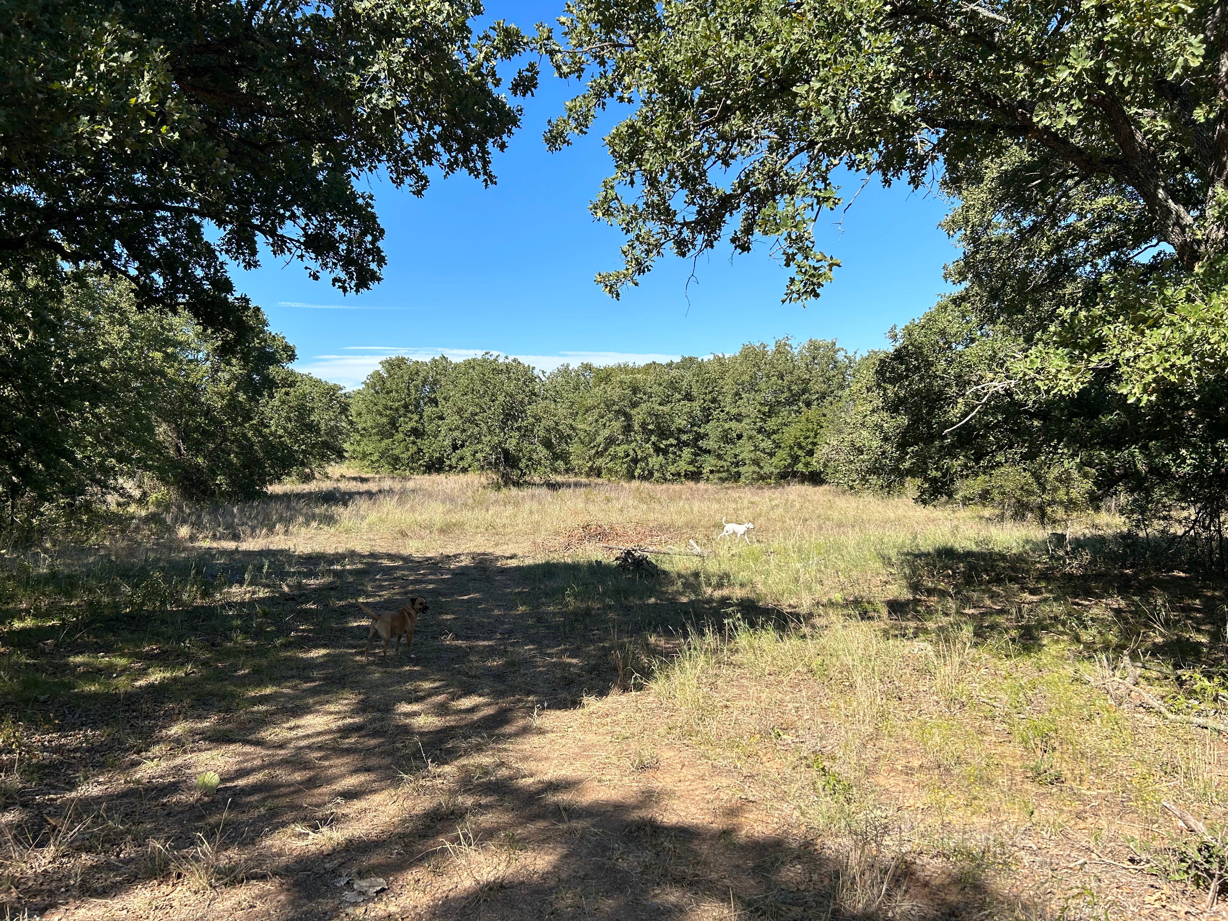 Camping near Inez Spring Riverfront RV Park: The River Bottom, Dublin, Texas