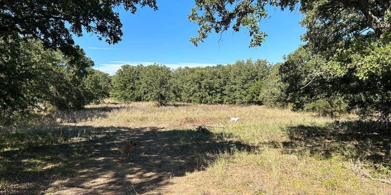 Camper submitted image from The River Bottom