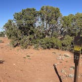 Review photo of Kayenta Campground — Dead Horse Point State Park by Lee D., October 20, 2023