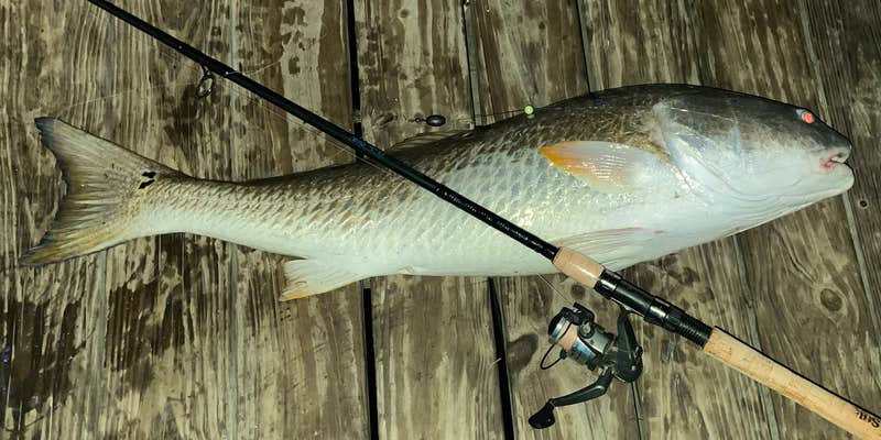 Camper submitted image from Swampman RV Paradise, LLC