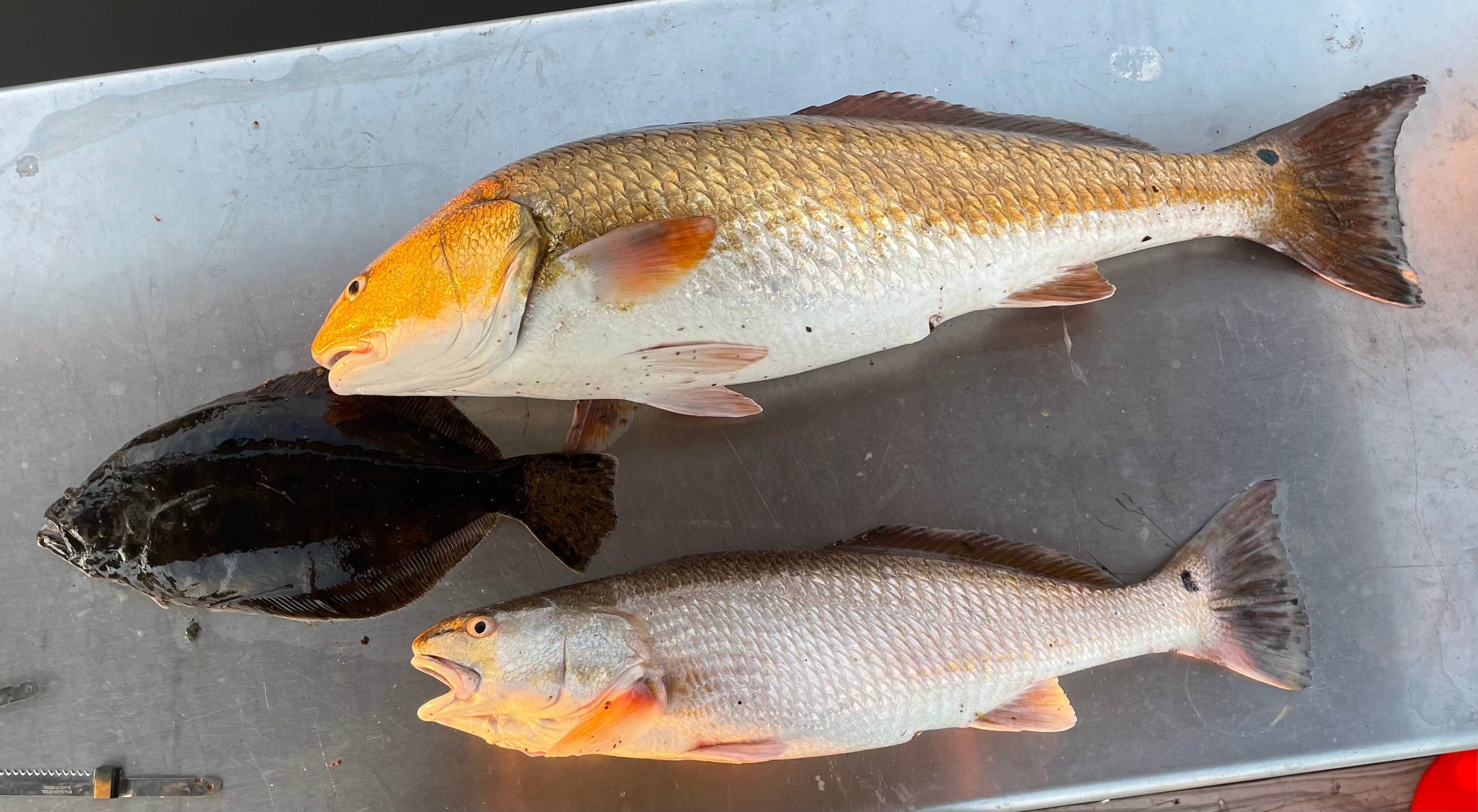 Camper-submitted photo at Swampman RV Paradise, LLC near Houma, LA