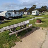 Review photo of Half Moon Bay State Beach Campground by Shari  G., October 20, 2023