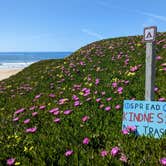 Review photo of Half Moon Bay State Beach Campground by Shari  G., October 20, 2023