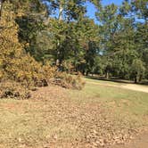 Review photo of Atlanta West Campground by Asher K., November 1, 2018