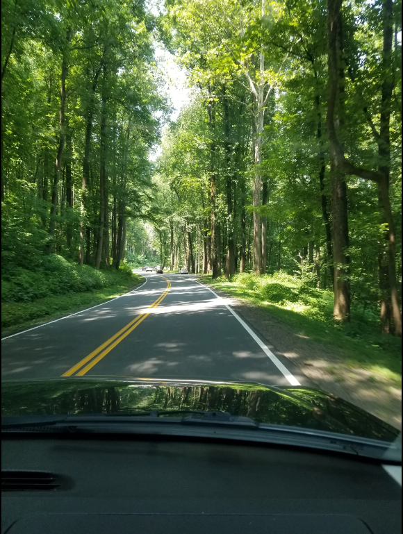 Camper-submitted photo at Christina's Paradise near Hopkins, SC