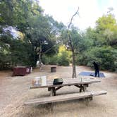 Review photo of Henry Cowell Redwoods State Park Campground by Susan Y., October 21, 2023