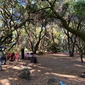 Review photo of Henry Cowell Redwoods State Park Campground by Susan Y., October 21, 2023