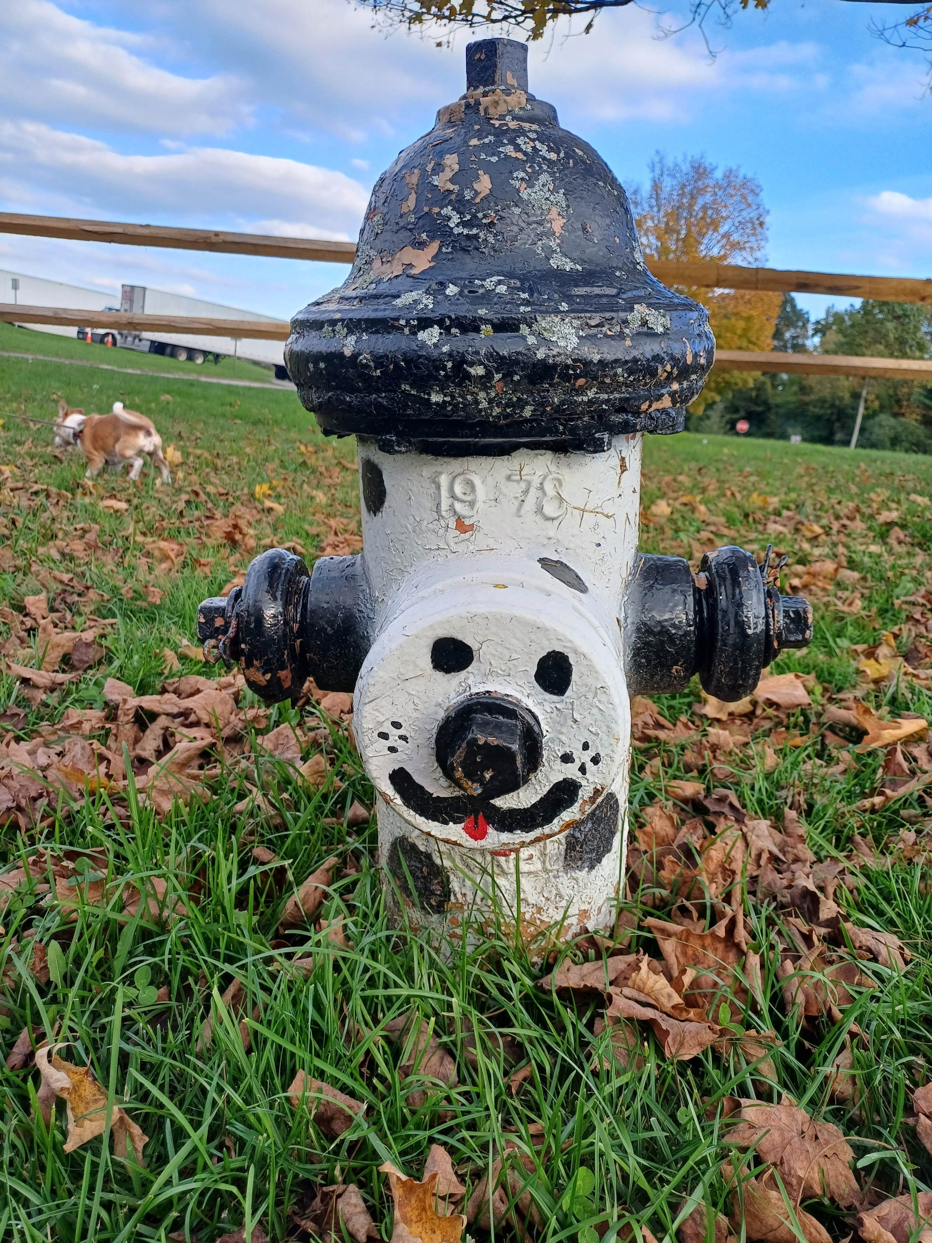 Laura M.'s photo of camping with pets at Connecticut Welcome Center Rest Area I-84 near Greenwich, CT