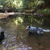 Review photo of Chewacla State Park Campground by Shelly S., November 1, 2018