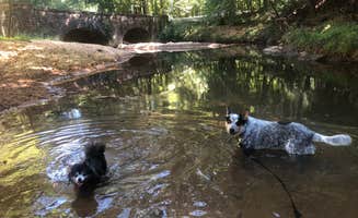 Shelly S.'s photo of camping with pets at Chewacla State Park Campground near Columbus, GA
