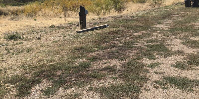 Camper submitted image from Pinecone Campground