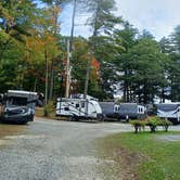 Review photo of Saddleback Campground by Laura M., October 21, 2023