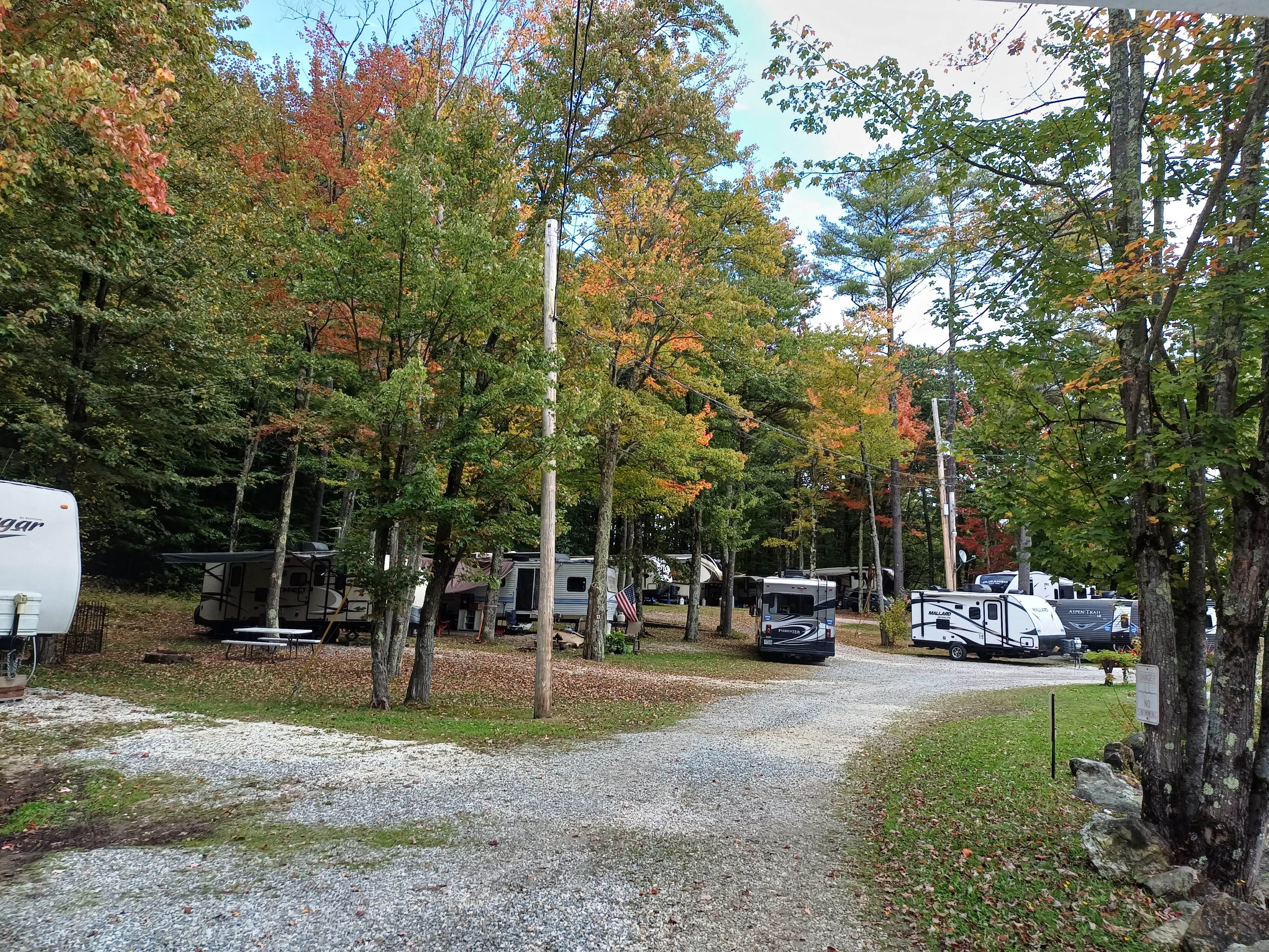 Camper submitted image from Saddleback Campground - 4