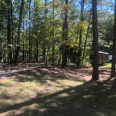 Review photo of Chewacla State Park Campground by Shelly S., November 1, 2018