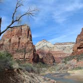 Review photo of Lava Point Campground — Zion National Park by Crystal C., November 1, 2018