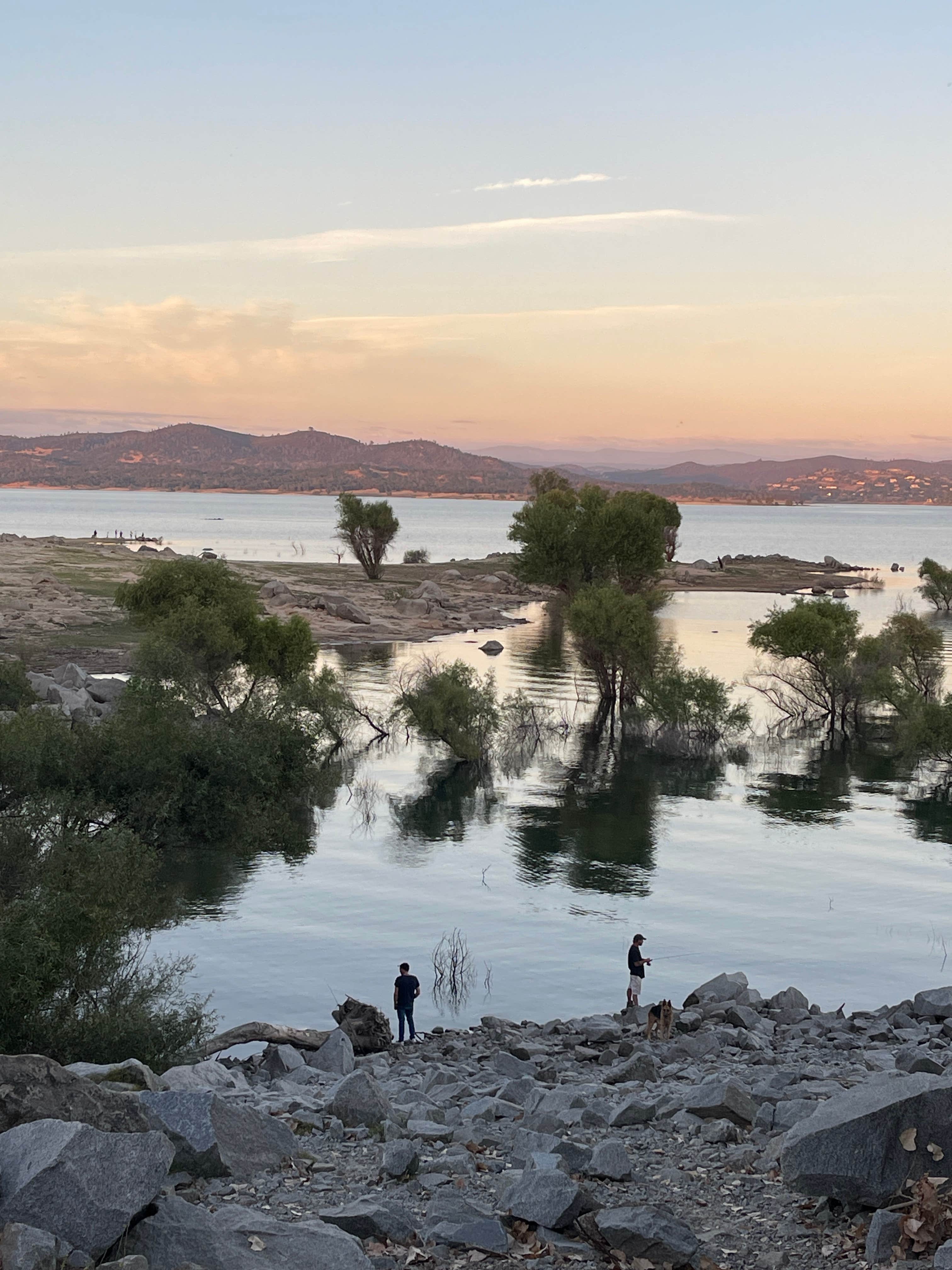 Lee D.'s photo of camping with pets at Beals Point Campground — Folsom Lake State Recreation Area near El Dorado Hills, CA