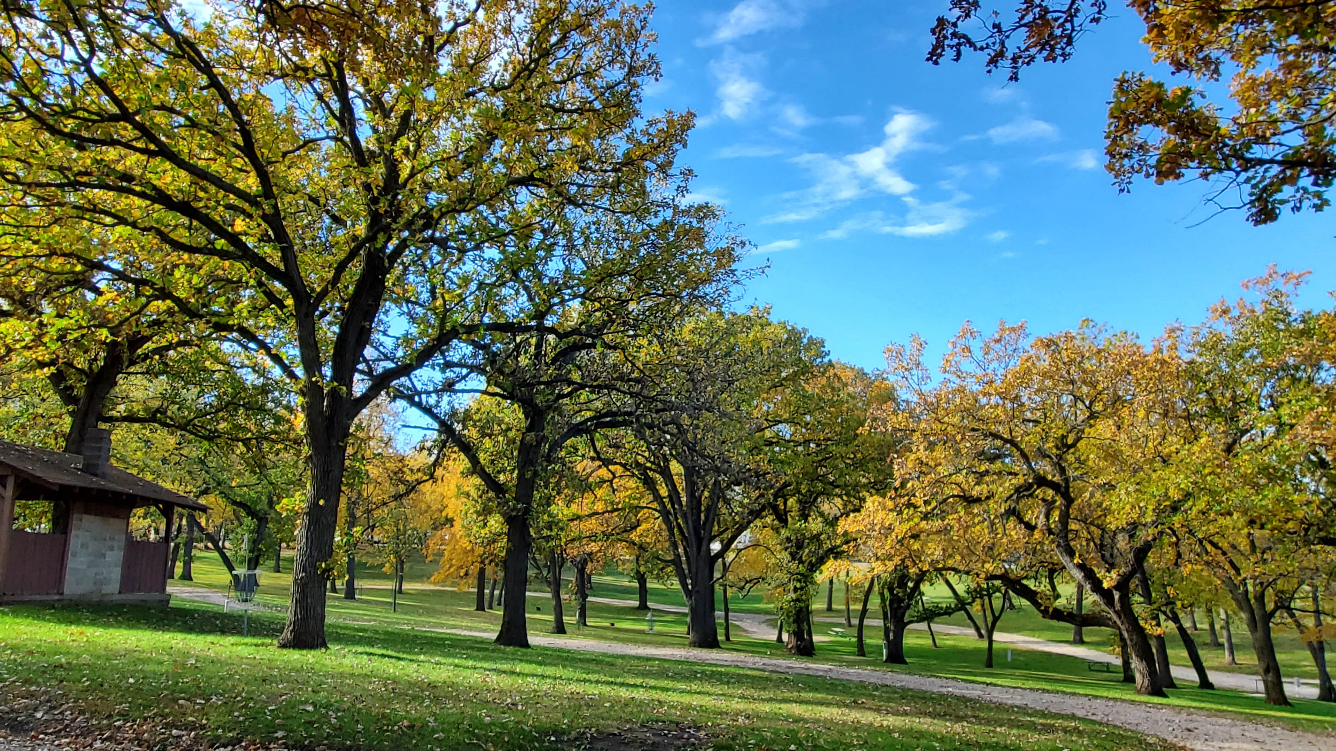 Camper-submitted photo at Swan Lake State Park Campground near Carroll, IA