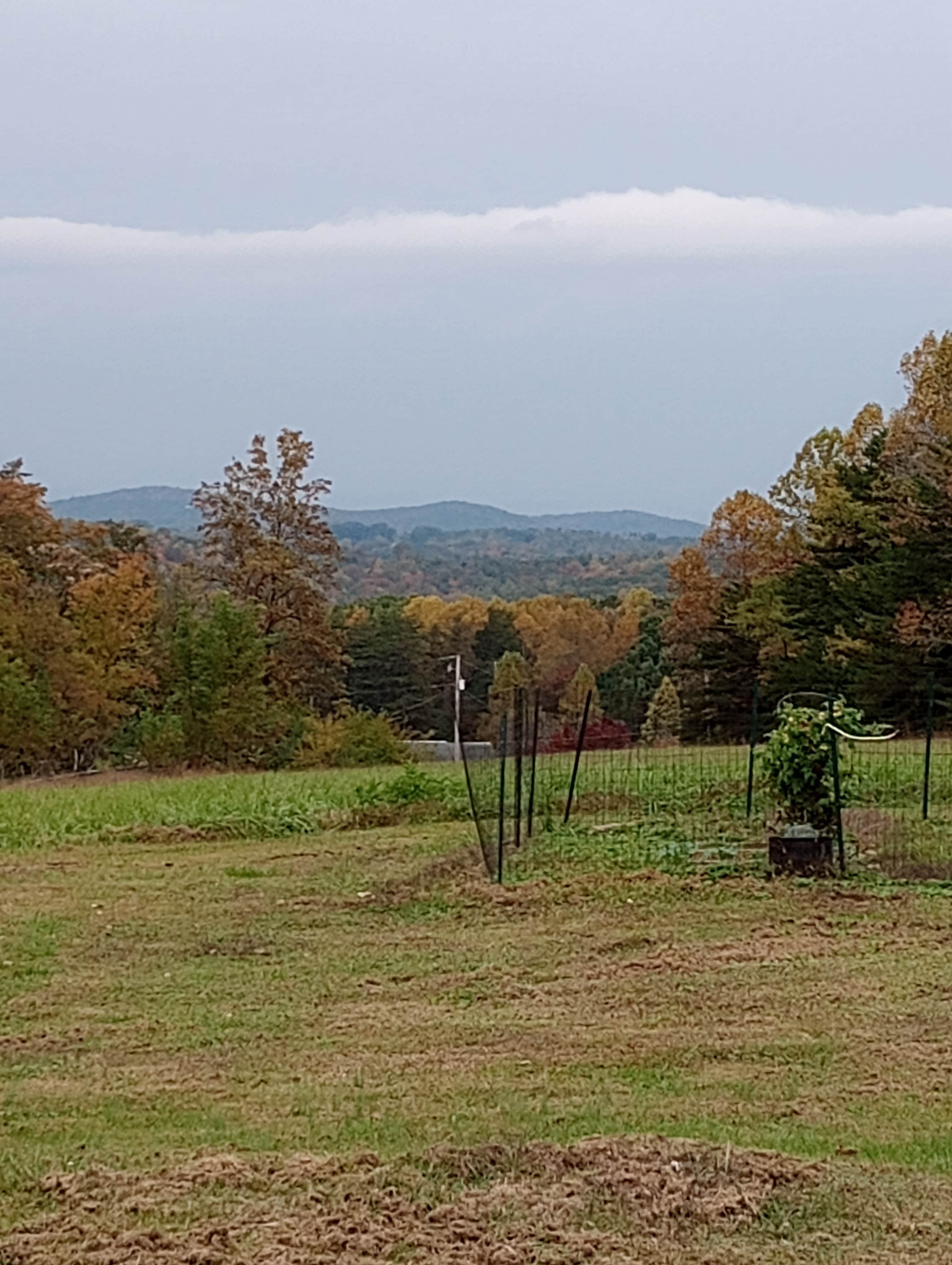 Camper submitted image from Pop's Place in the Blue Ridge - 1