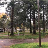 Review photo of Cannon Beach RV Resort by Alicia F., November 1, 2018