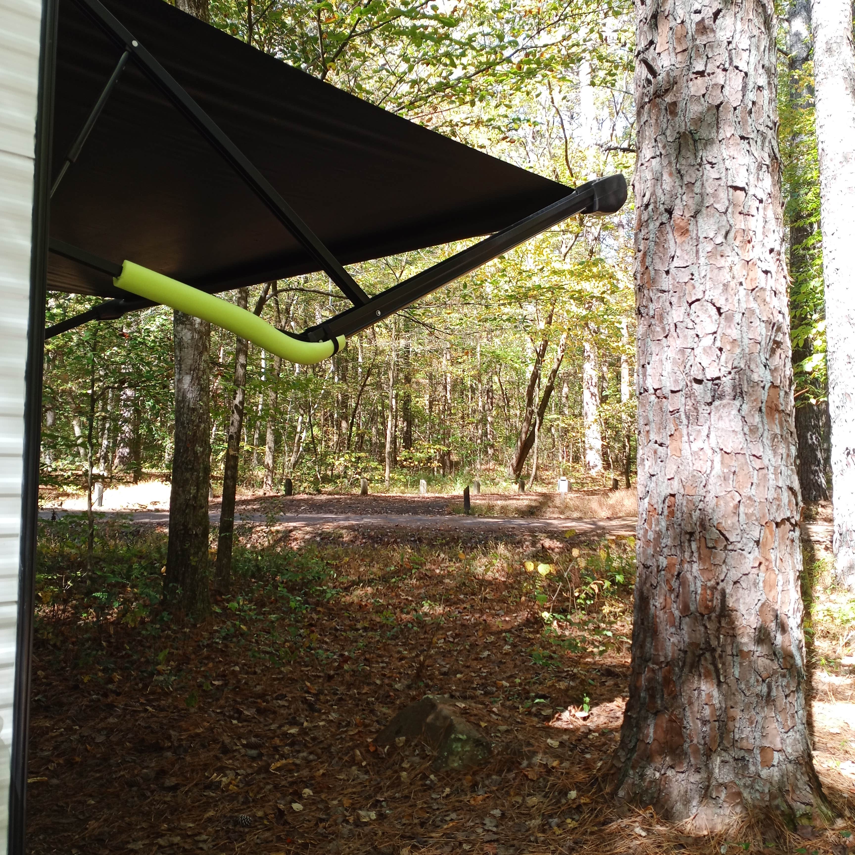 Camper-submitted photo at John's Mountain WMA near Menlo, GA