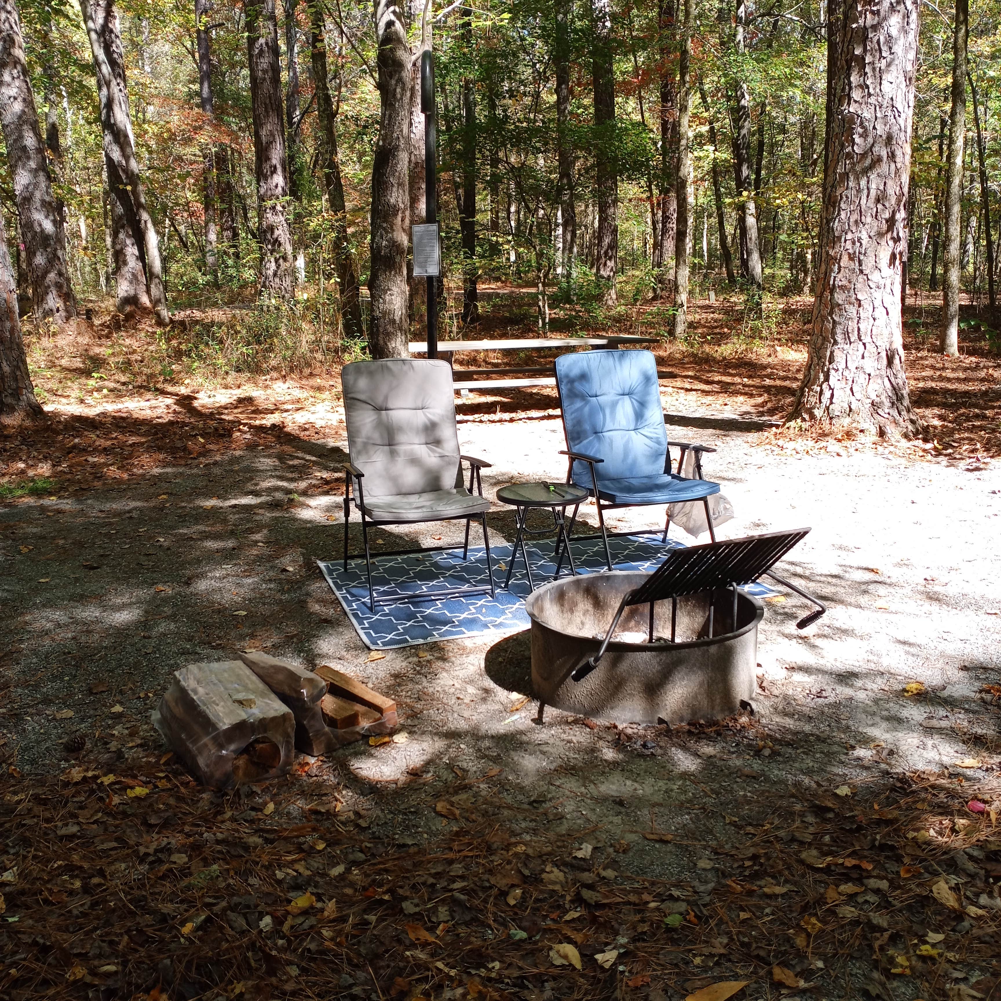 Camper submitted image from John's Mountain WMA - 3