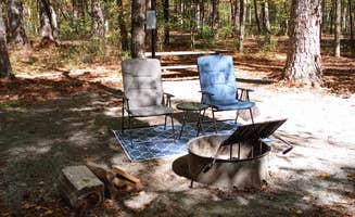 Cindy A.'s photo at John's Mountain WMA near Rome, GA