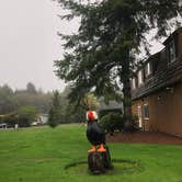 Review photo of Cannon Beach RV Resort by Alicia F., November 1, 2018