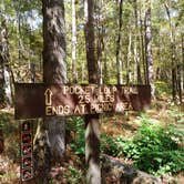 Review photo of John's Mountain WMA by Cindy A., October 22, 2023