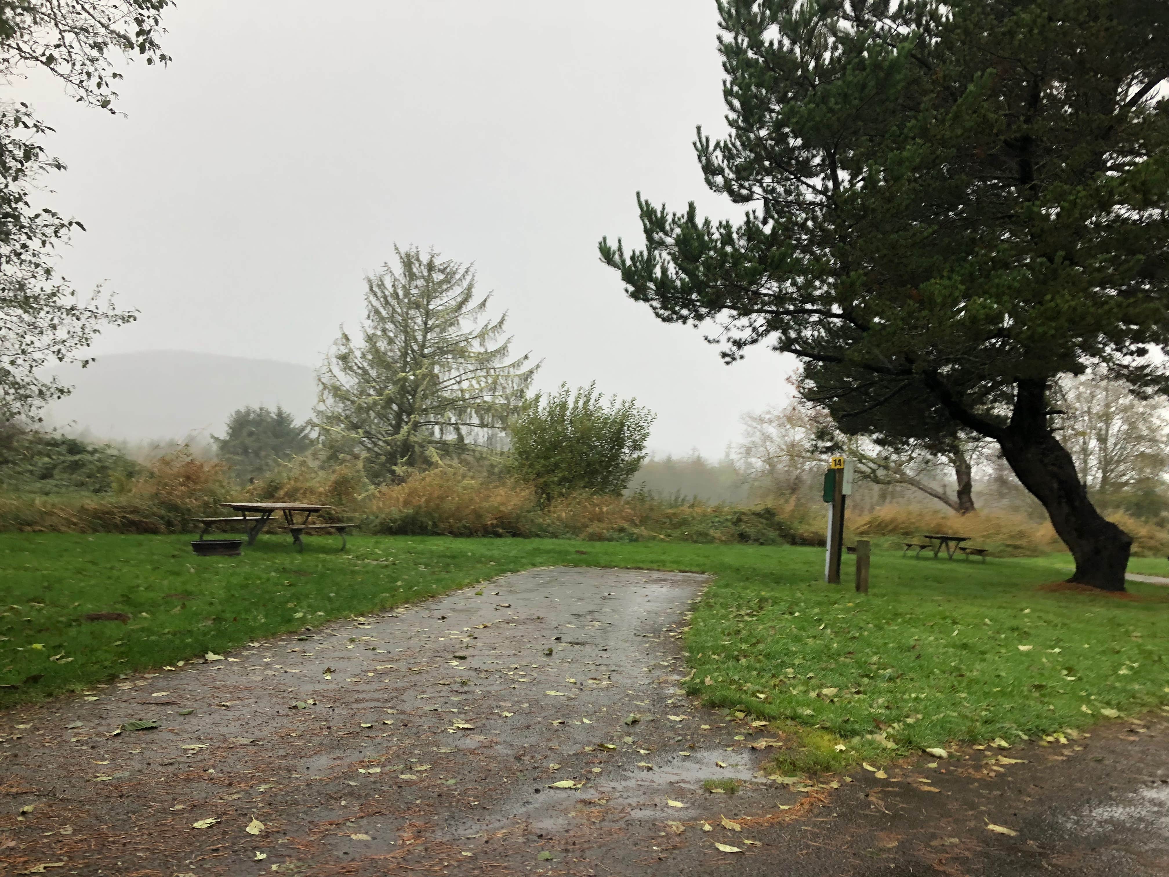 Camper-submitted photo at Circle Creek RV Park & Campground near Cannon Beach, OR
