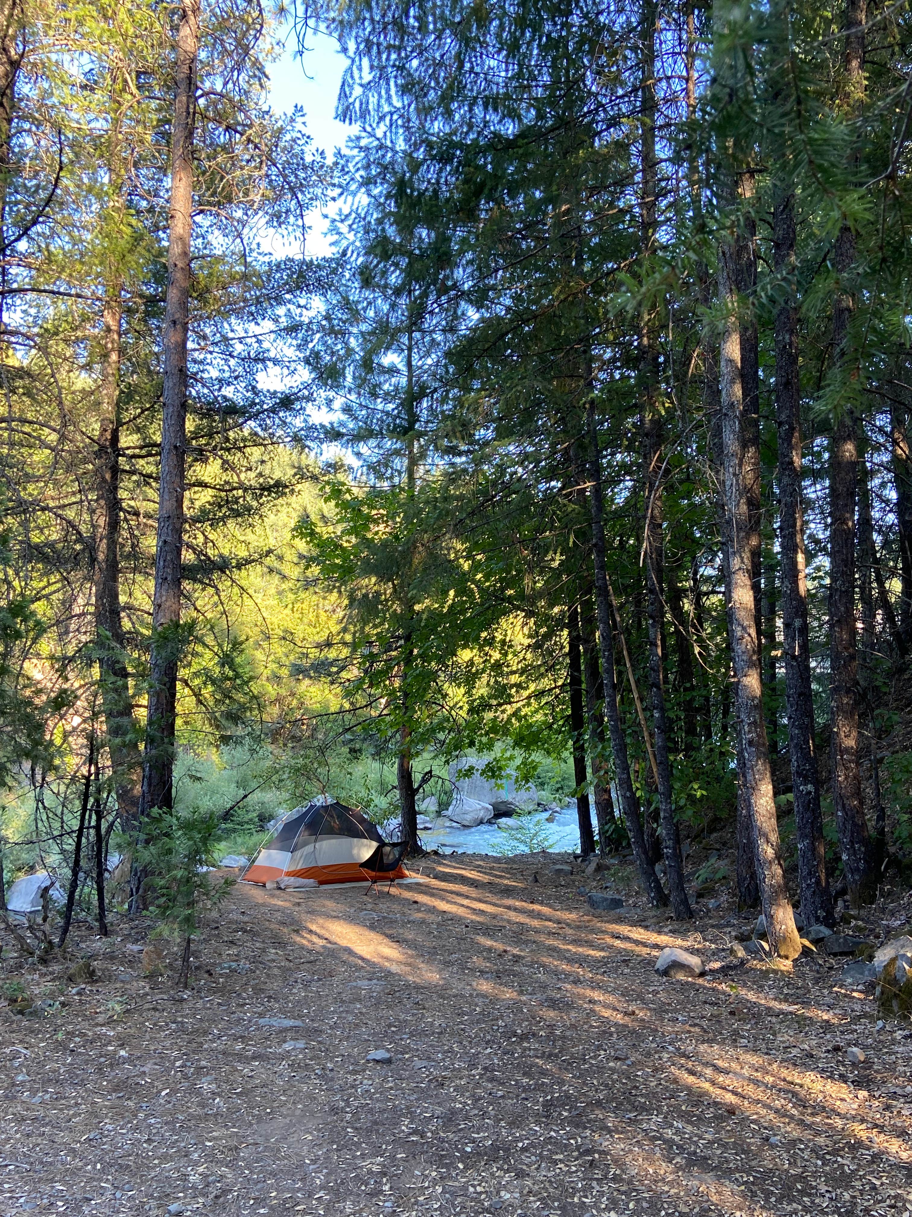 Greg B.'s photo of tent camping at Madesi Campground near McCloud, CA