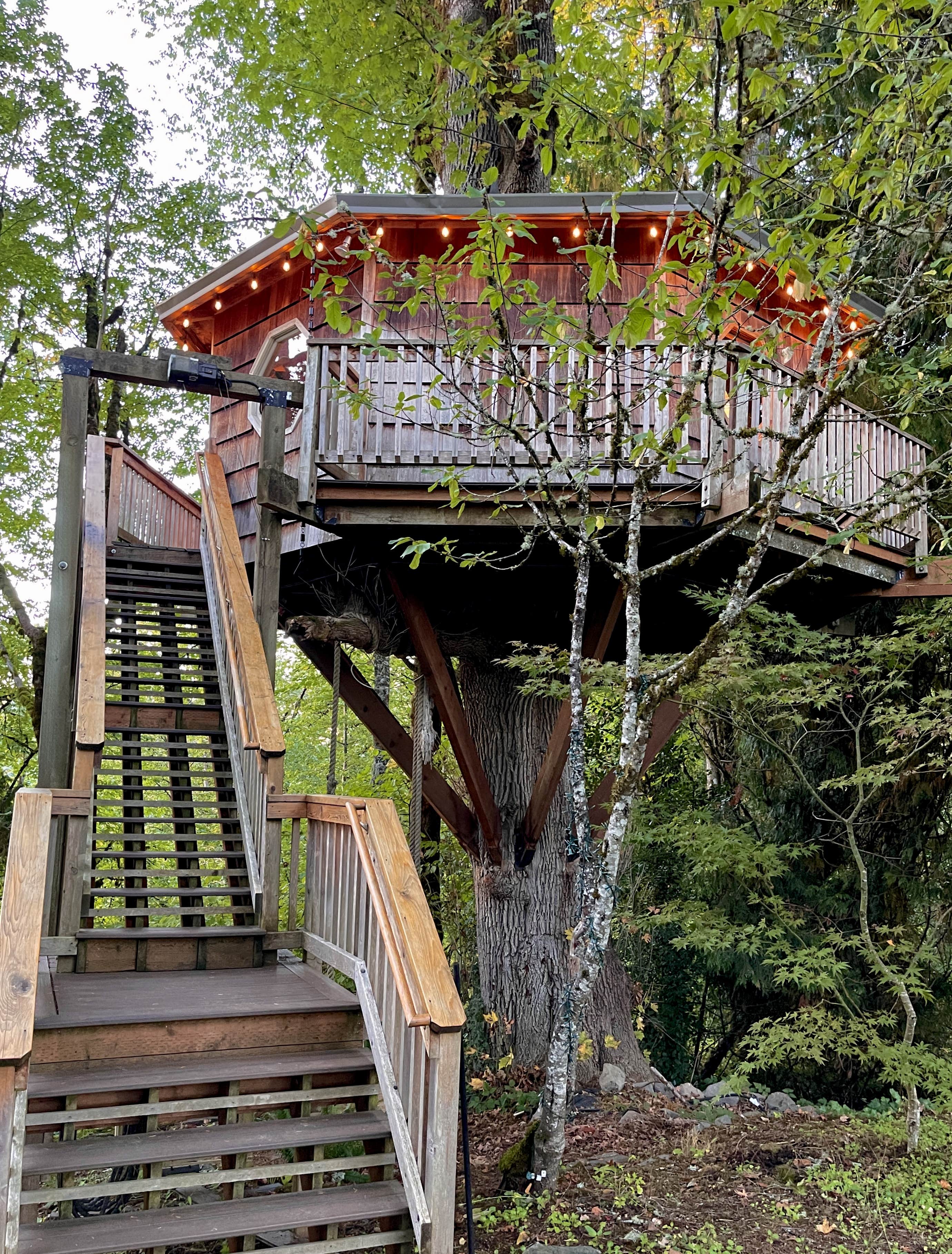 Lee D.'s photo of a cabin at Cedar Springs Alpacas near Stevenson, WA