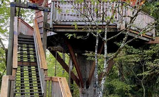 Lee D.'s photo of a cabin at Cedar Springs Alpacas near Lake Oswego, OR