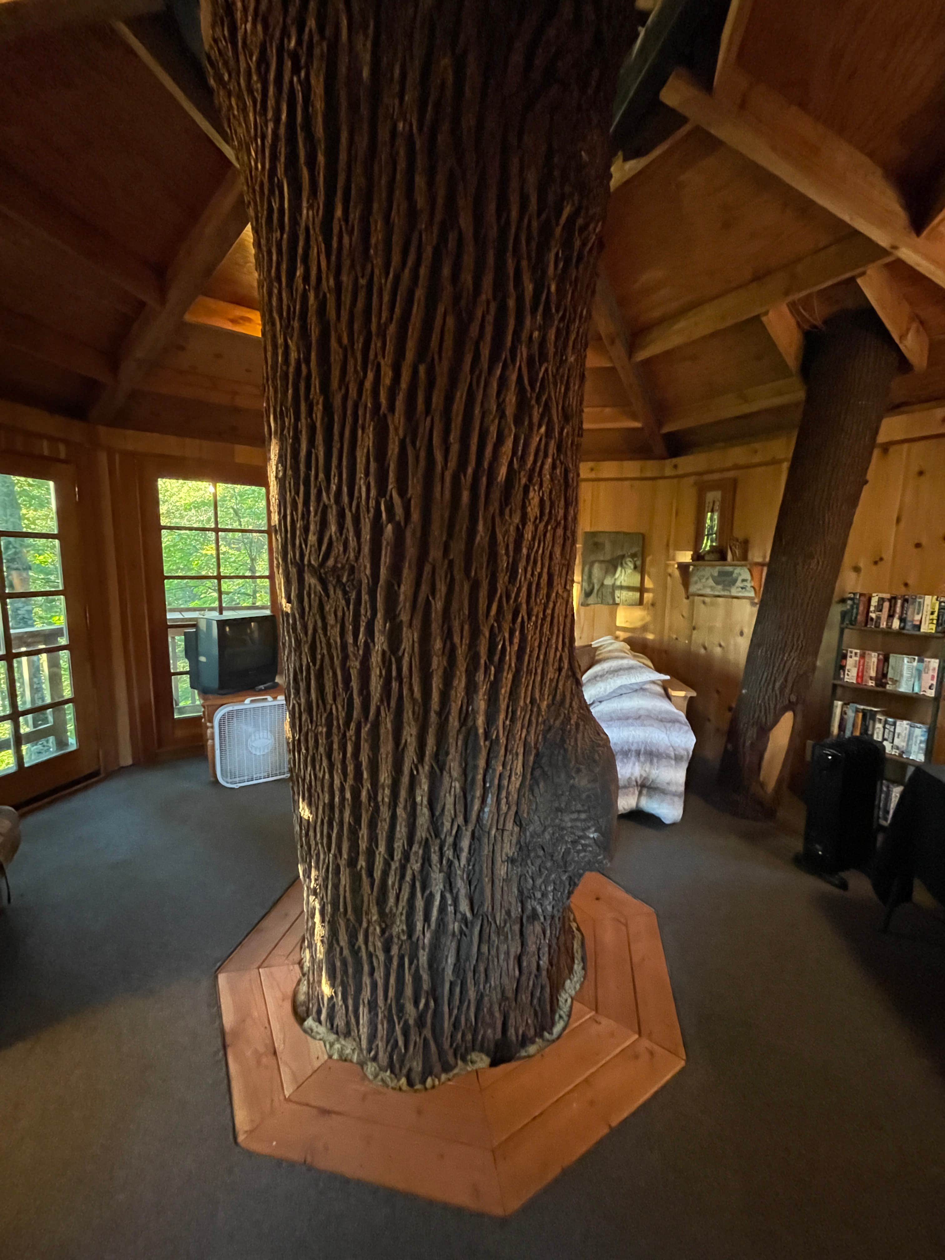 Camper-submitted photo at Cedar Springs Alpacas near Brightwood, OR