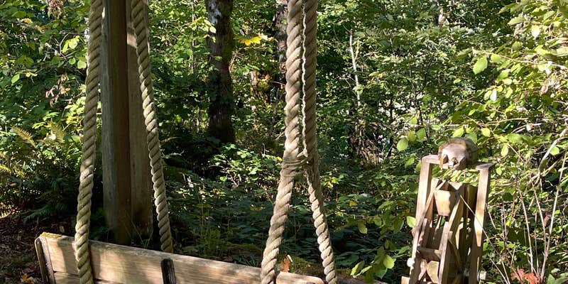 Camper submitted image from Cedar Springs Alpacas