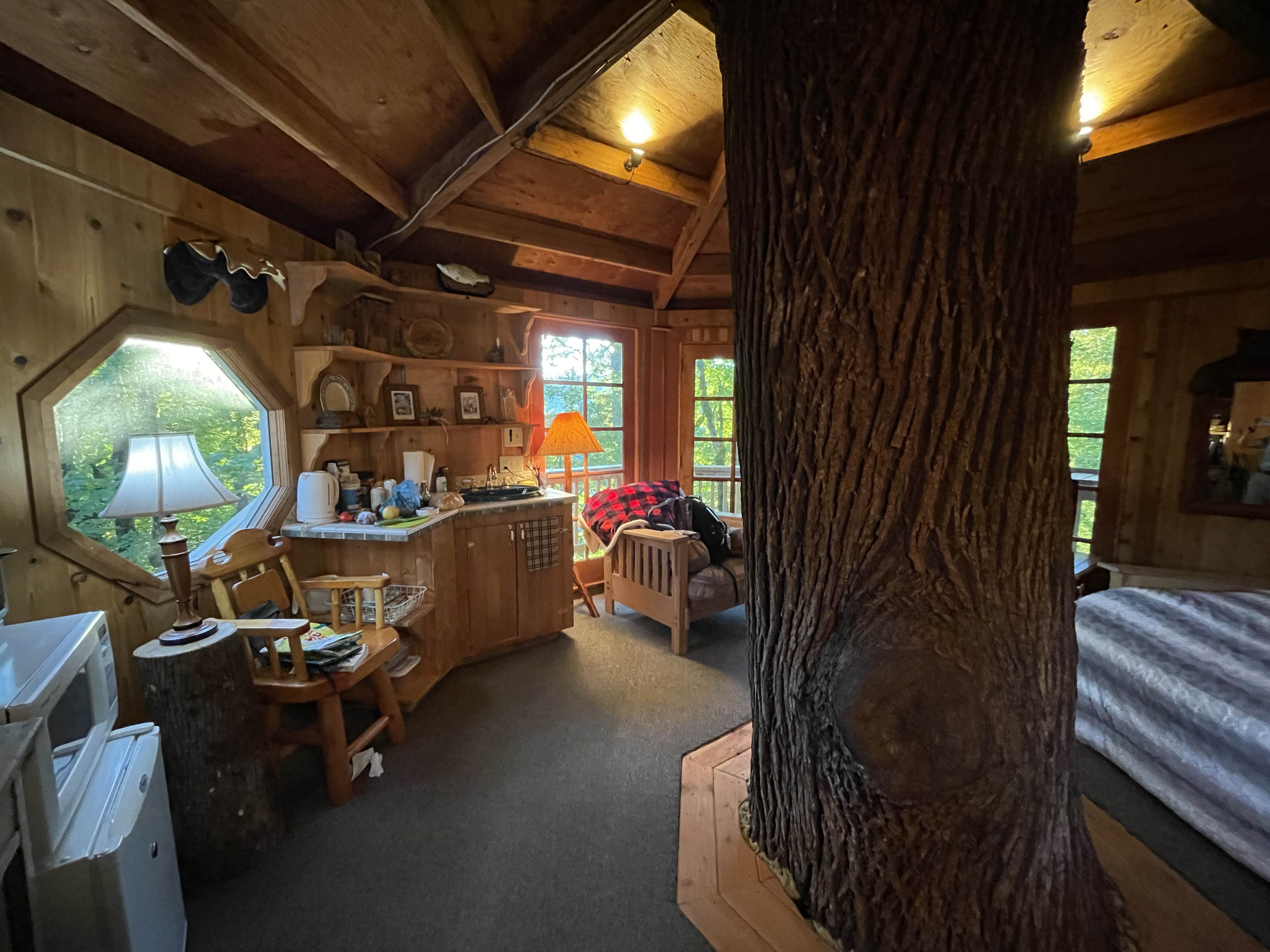 Camper-submitted photo at Cedar Springs Alpacas near Brightwood, OR