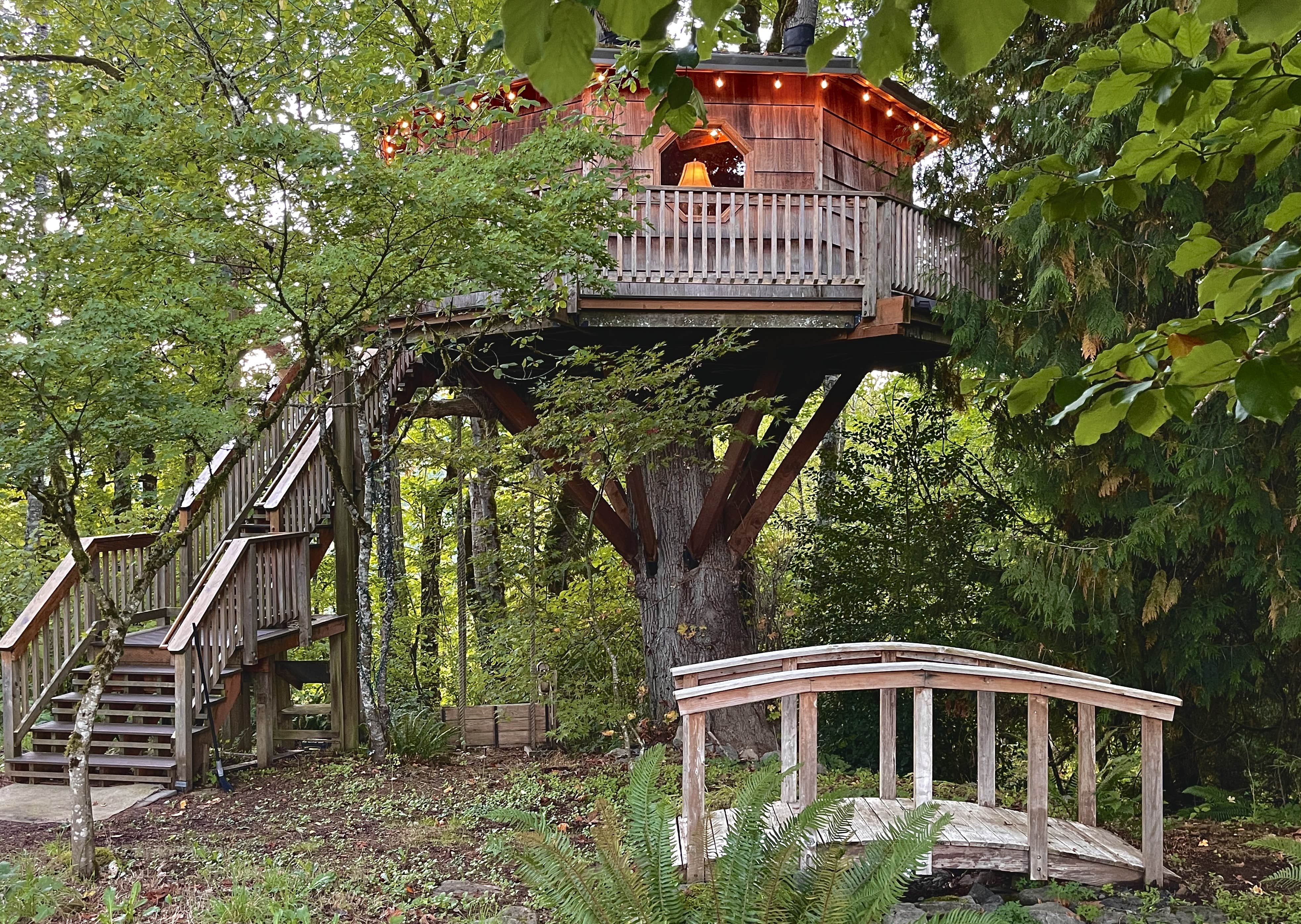 Camper-submitted photo at Cedar Springs Alpacas near Brightwood, OR