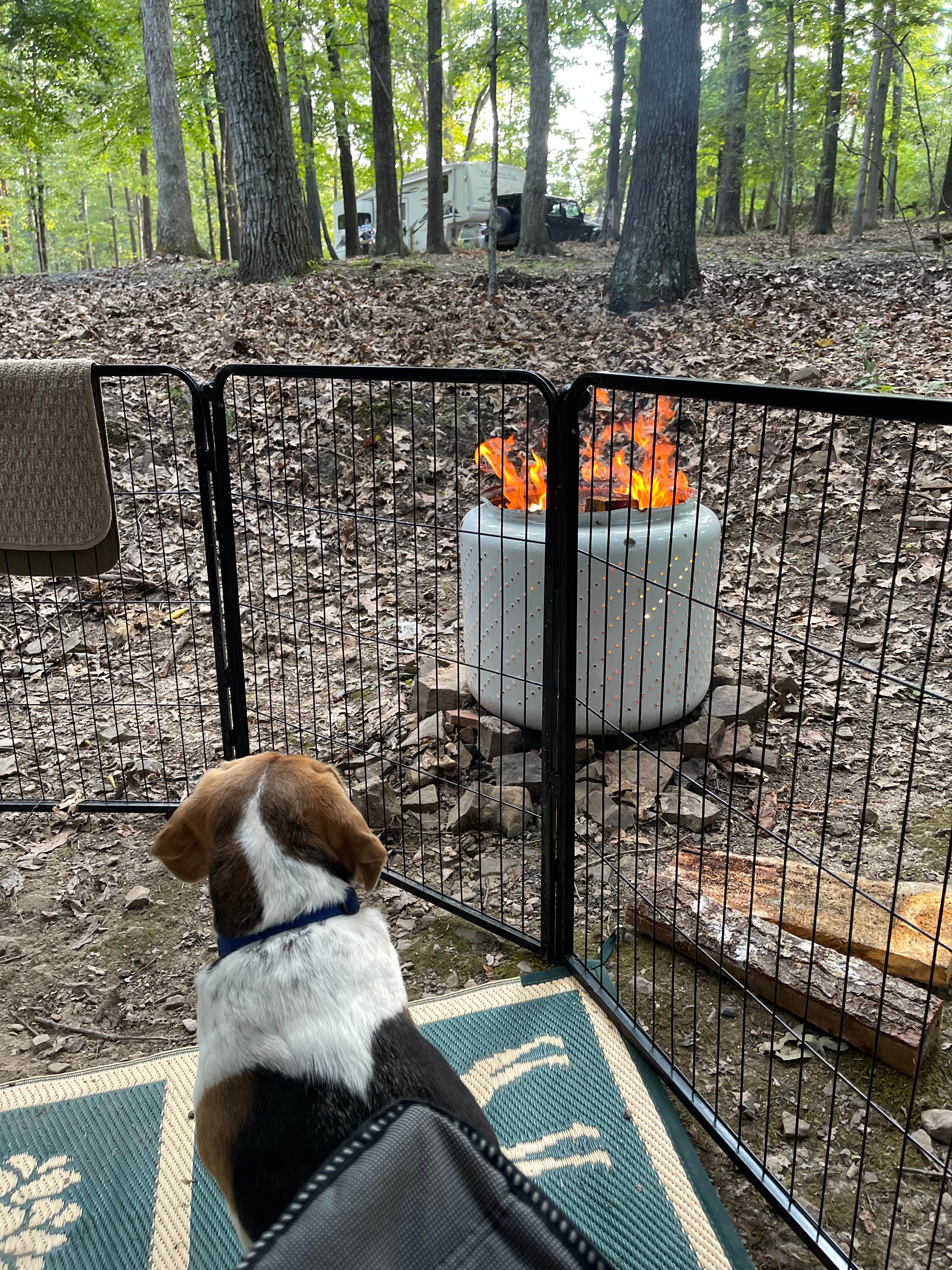 Sheryl B.'s photo of camping with pets at Middle Ridge Campground near Frostburg, MD