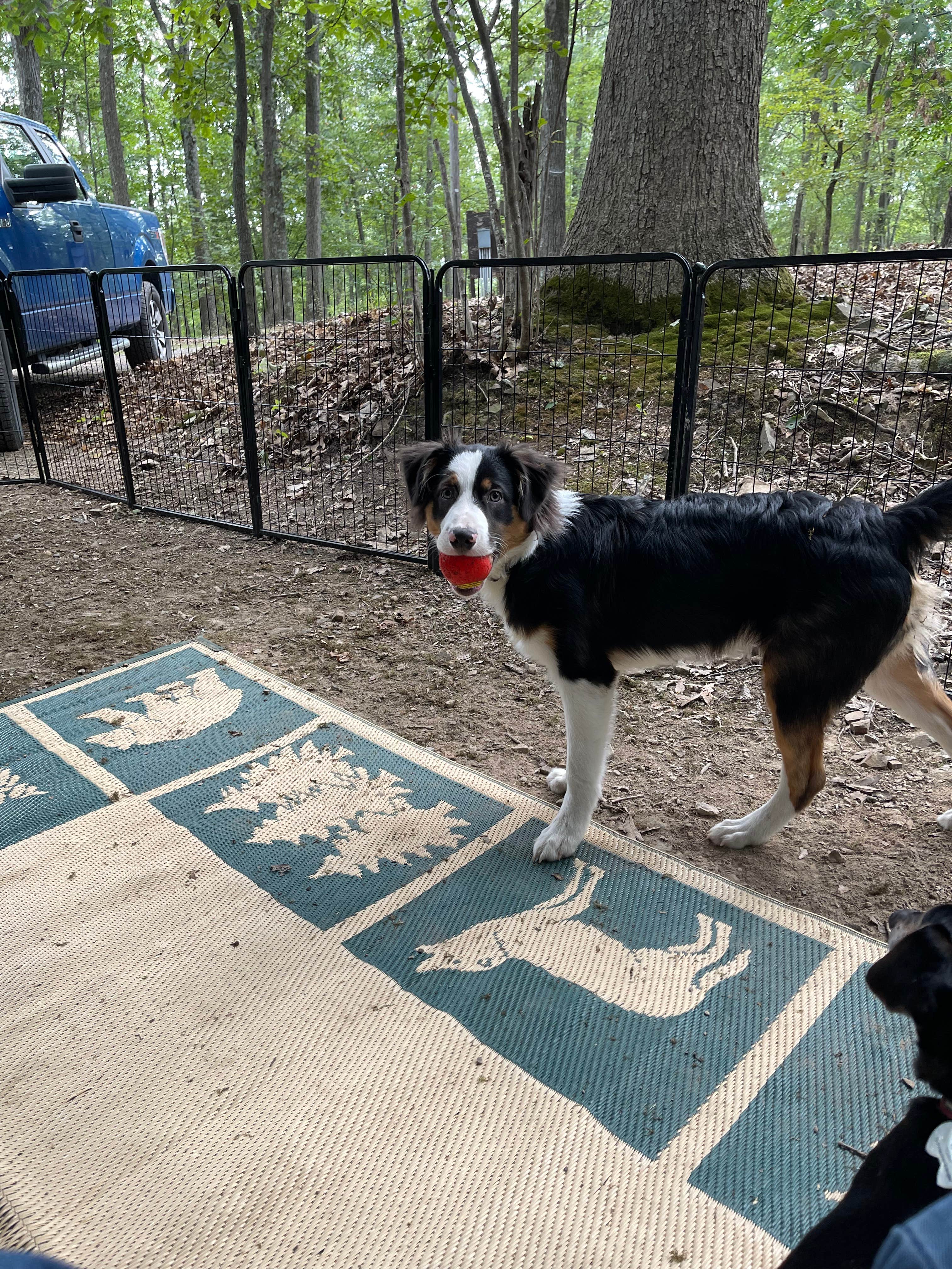 Camper submitted image from Middle Ridge Campground - 3