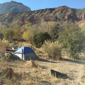 Review photo of Watchman Campground — Zion National Park by Natalie B., November 1, 2018