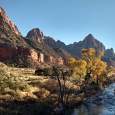Review photo of Watchman Campground — Zion National Park by Natalie B., November 1, 2018