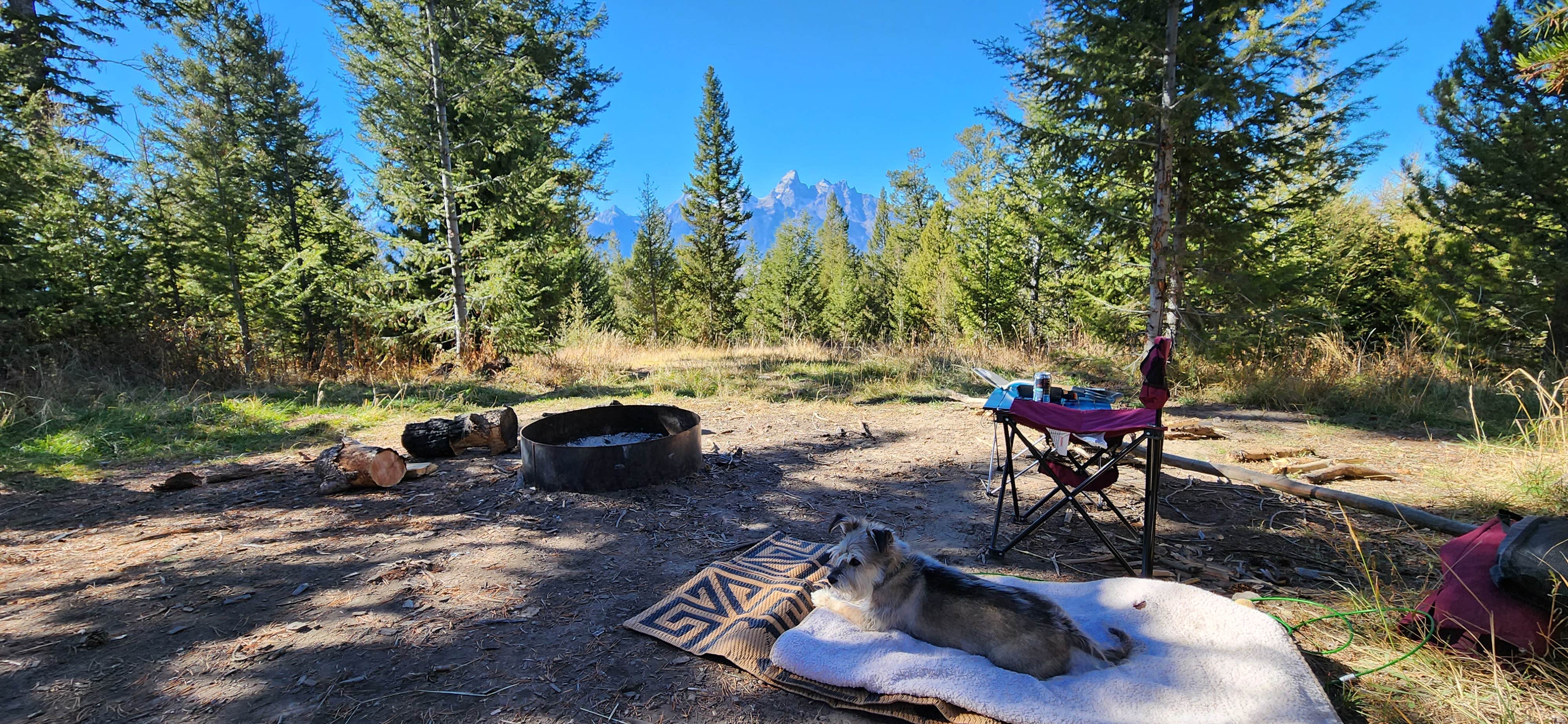 Bill O.'s photo of camping with pets at Shadow Mountain Dispersed Camping near Felt, ID