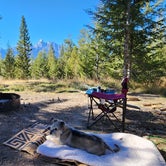 Review photo of Shadow Mountain Dispersed Camping by Bill , October 24, 2023