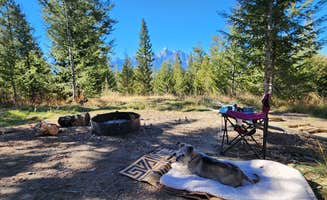 Bill O.'s photo of camping with pets at Shadow Mountain Dispersed Camping near Moose, WY