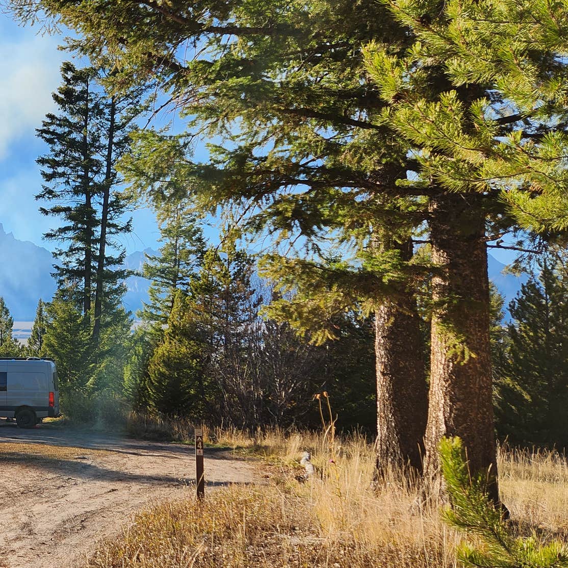 Shadow Mountain Dispersed Camping | Jackson, WY