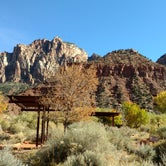 Review photo of South Campground — Zion National Park by Natalie B., November 1, 2018