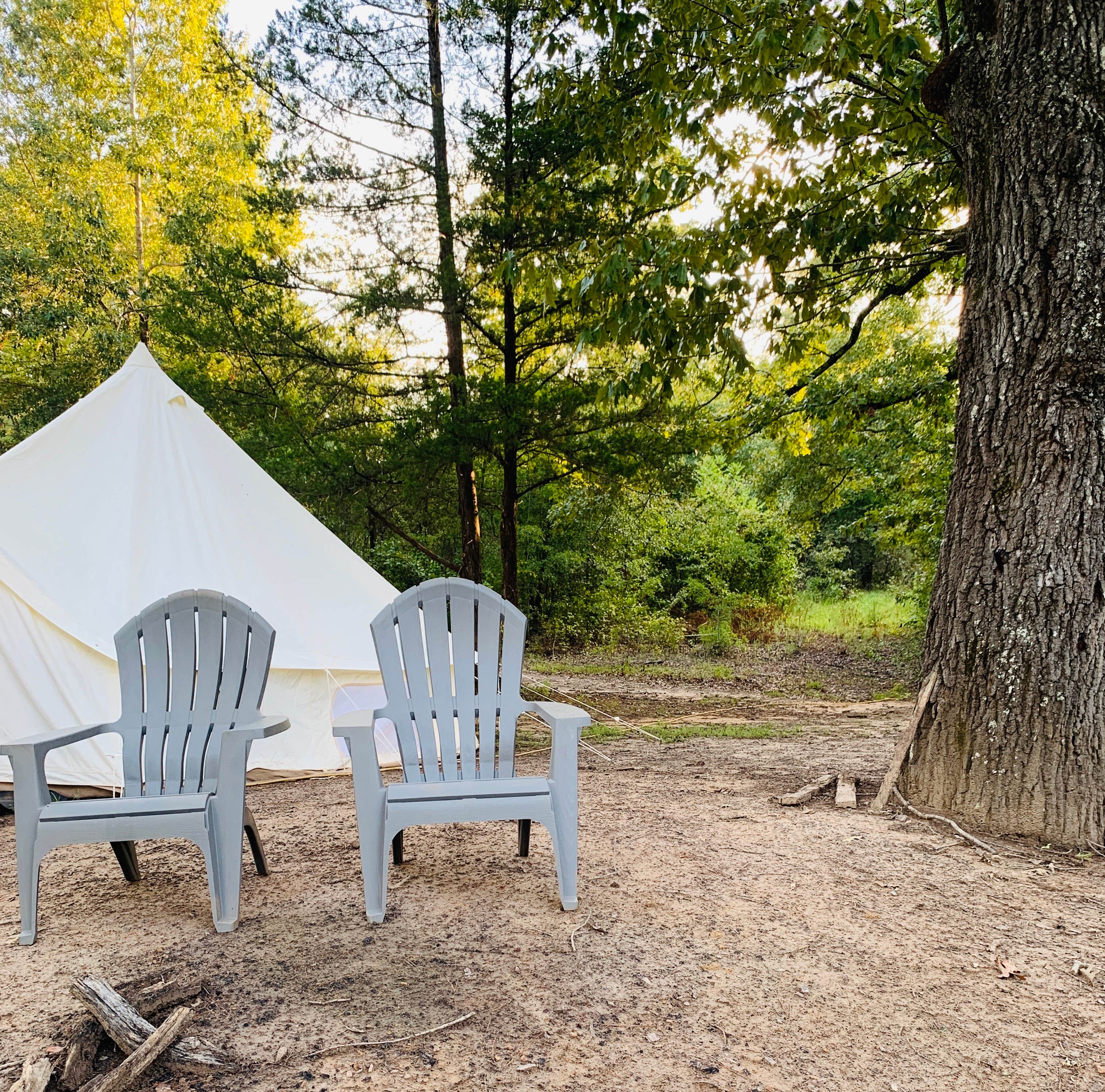 Kelly B.'s photo at Borah Farm near White Oak, TX