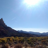 Review photo of South Campground — Zion National Park by Natalie B., November 1, 2018