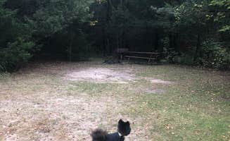 Shelly S.'s photo of camping with pets at Snake River - Merritt Reservoir SRA near Merriman, NE